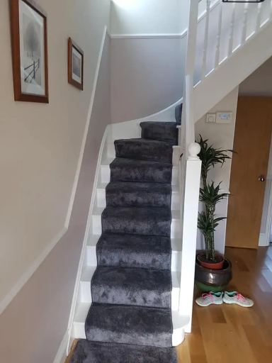 Flooring London 2 Medium